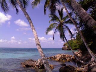 Providencia - Morgan's Head