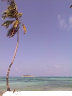 San Andrès - Playa Spratt Bight