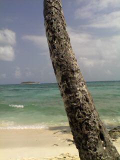 San Andrès - Playa Spratt Bight