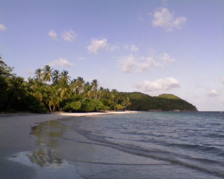 Providencia - Playa Manzanillo