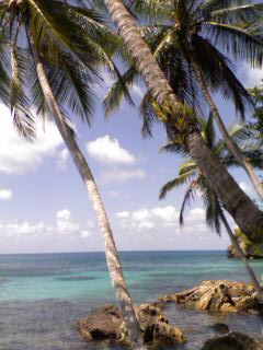 Providencia - Morgan's Head