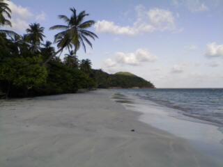 Providencia - Playa Manzanillo