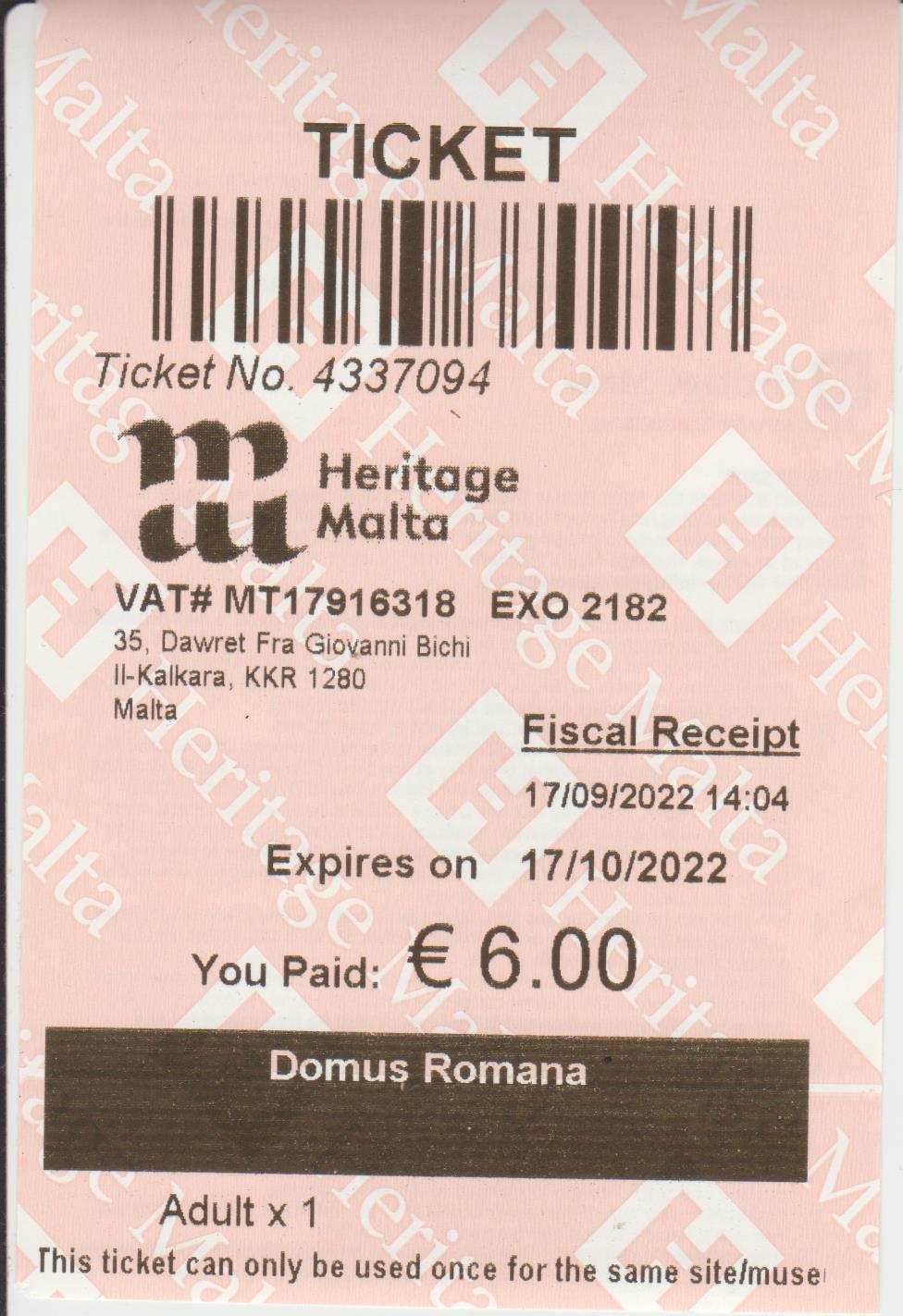 161) Domus Romana