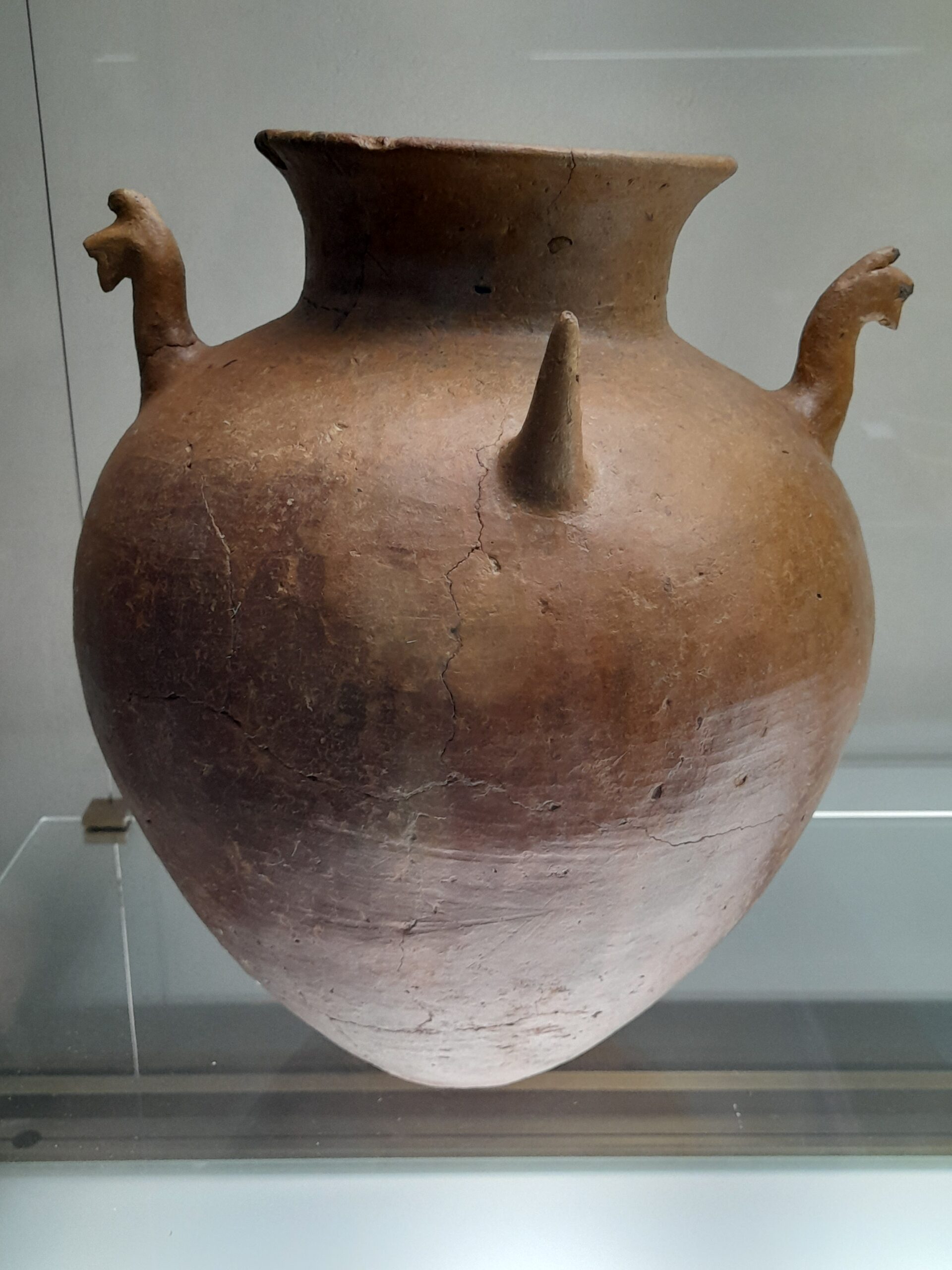 Olla